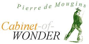 cabinet-of-wonder Logo